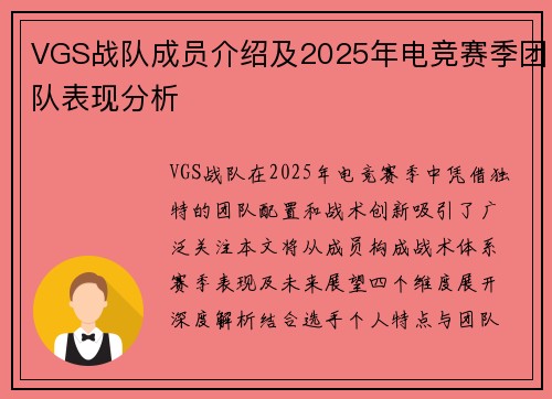 VGS战队成员介绍及2025年电竞赛季团队表现分析